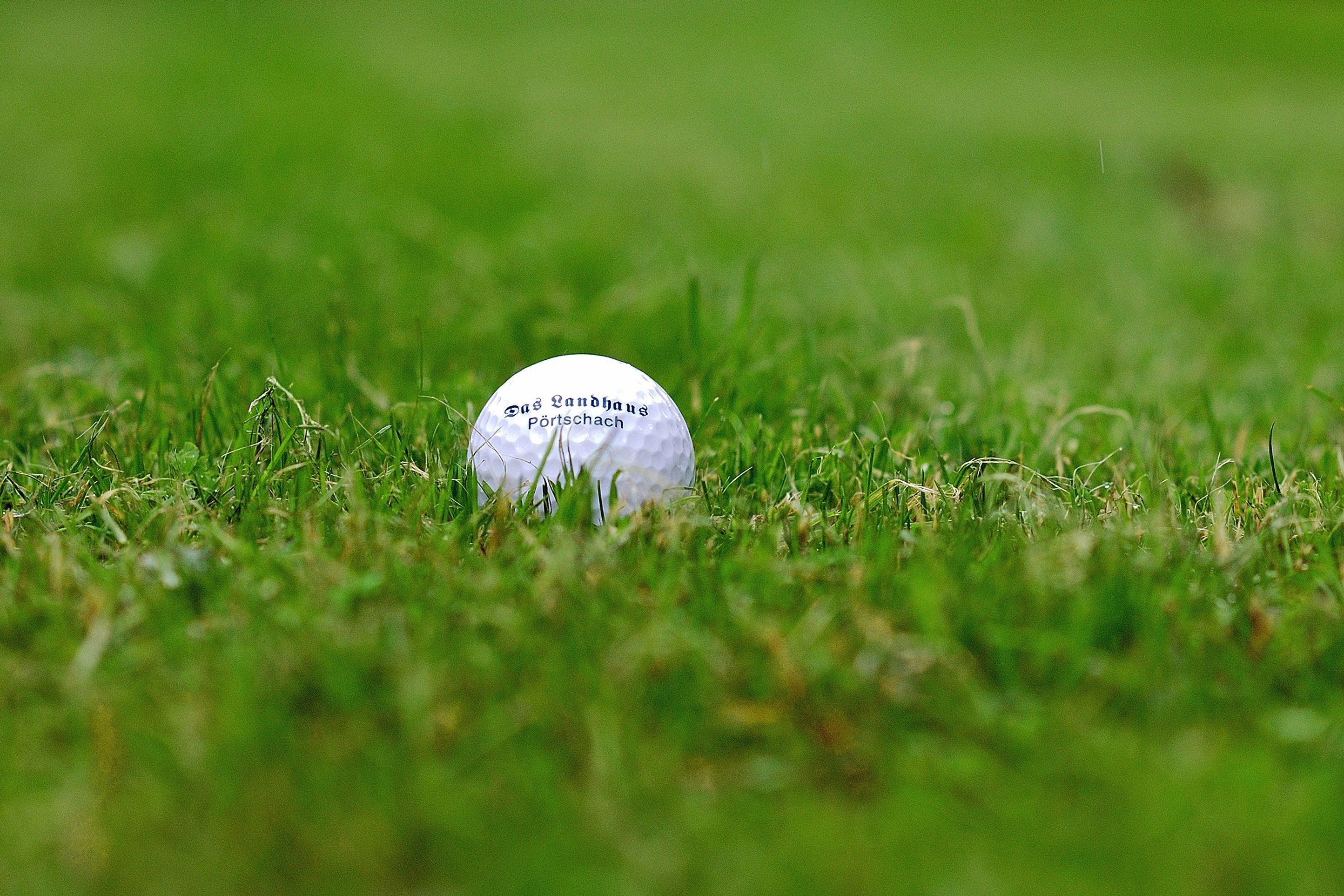 Een golfbal op een gazon.
