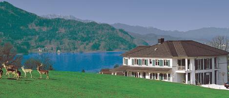 Vista desde la propiedad