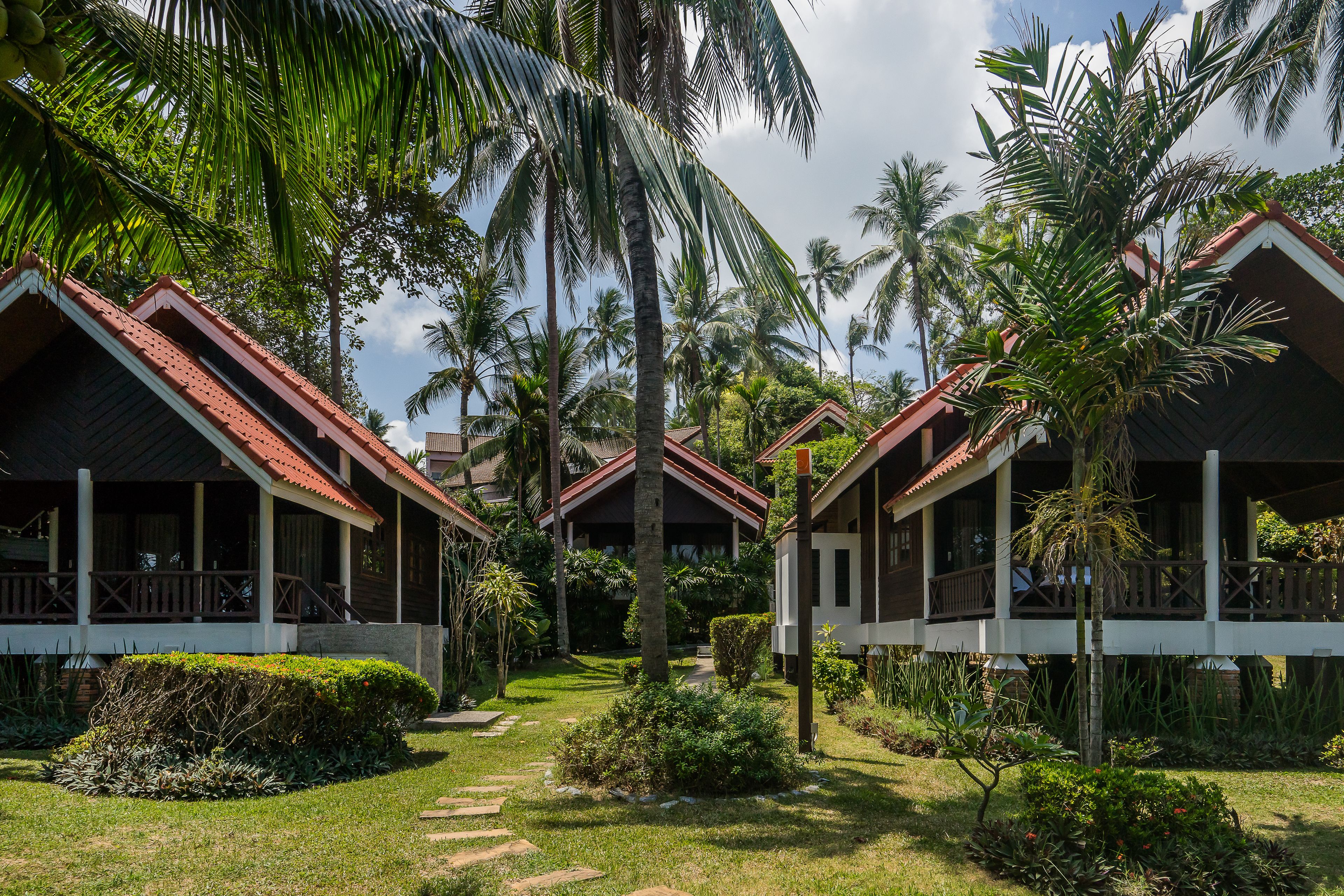 cottage | view from room