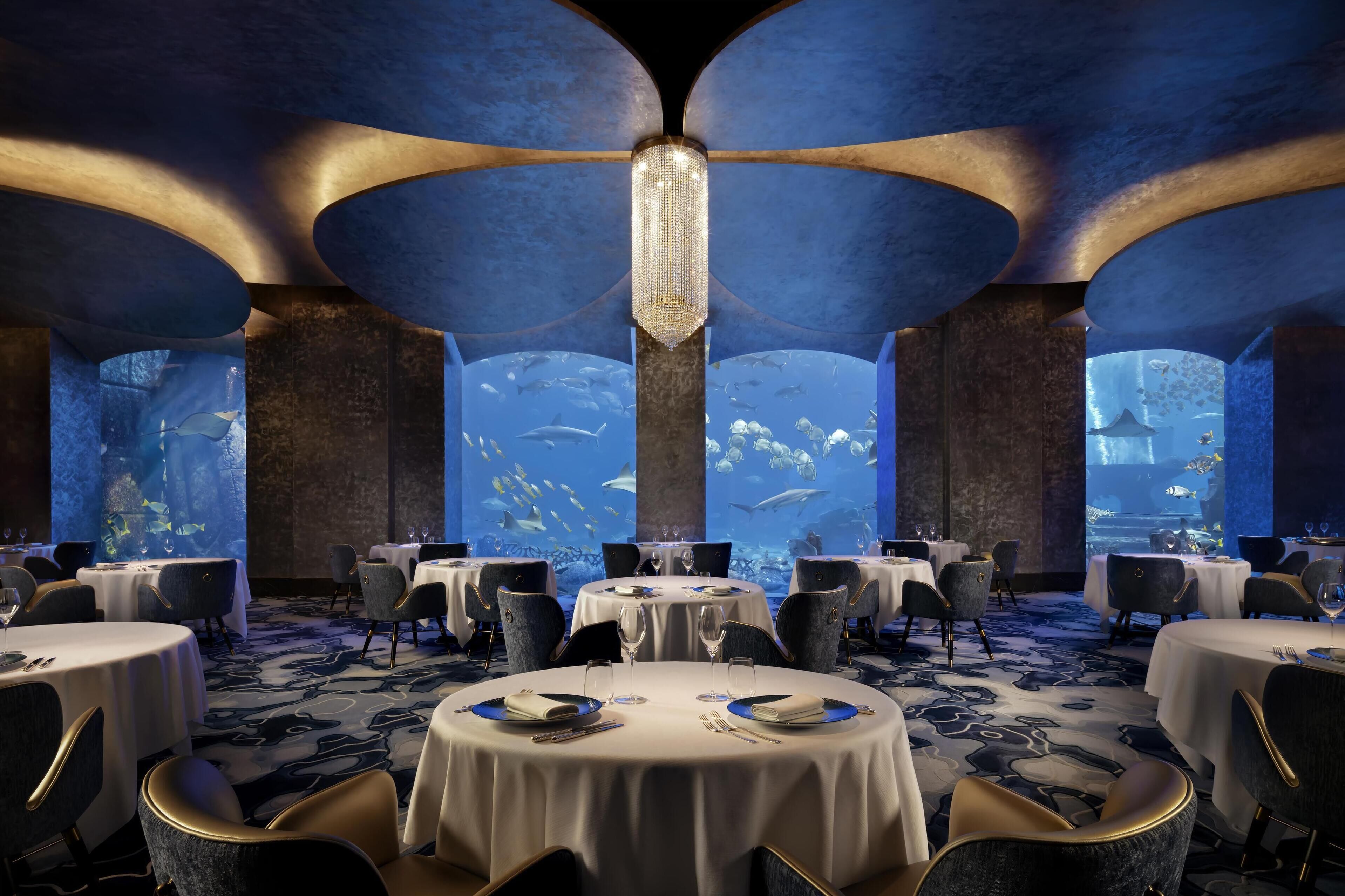 A restaurant with round tables, chairs, and a large aquarium wall.