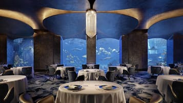 A restaurant with round tables, chairs, and a large aquarium wall.