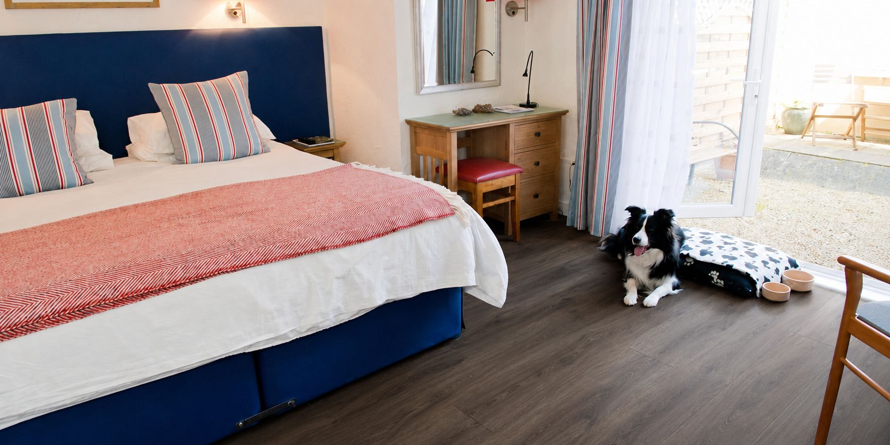 A hotel room with a large bed, a desk, a chair, and a dog bed.