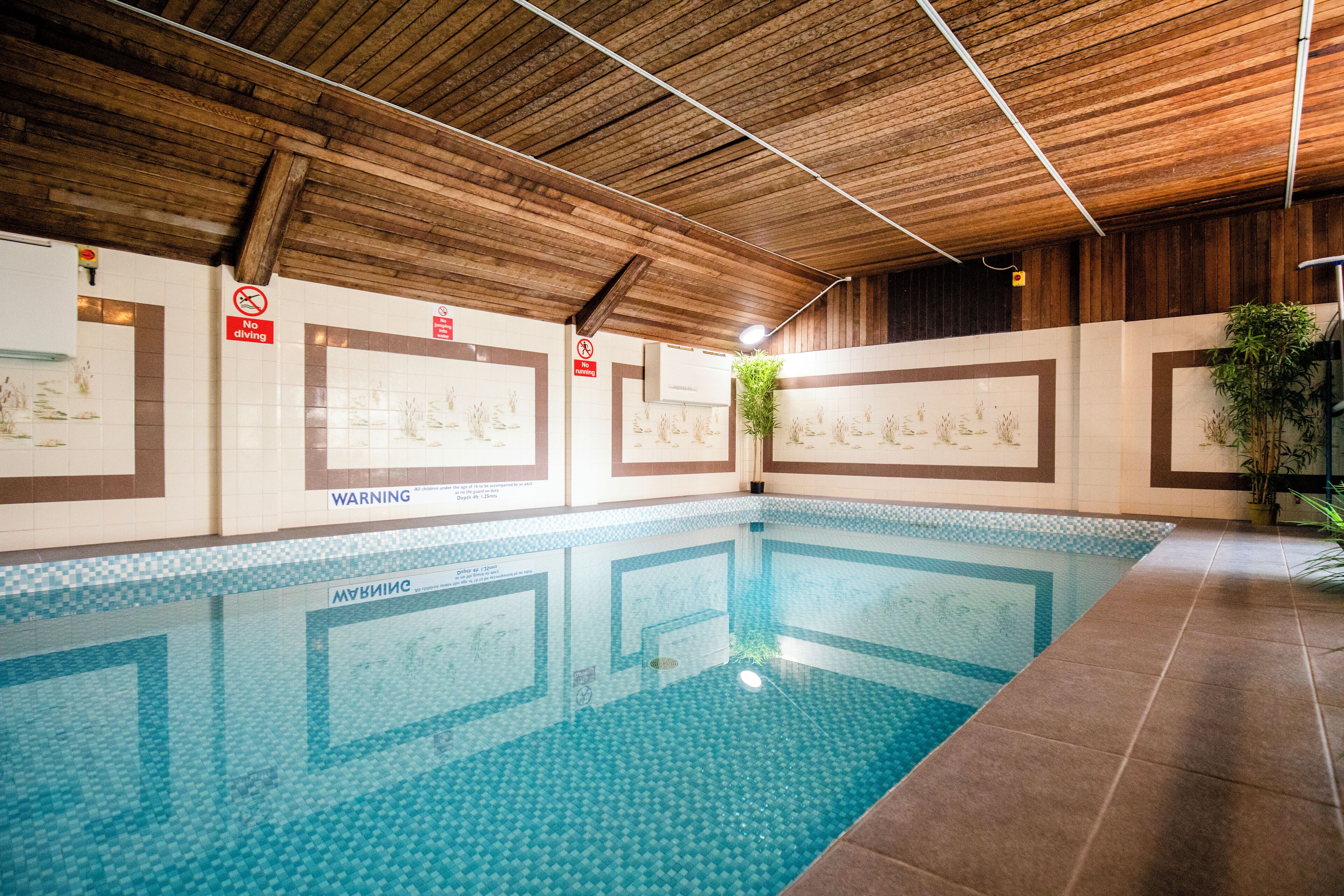 Indoor pool, sun loungers