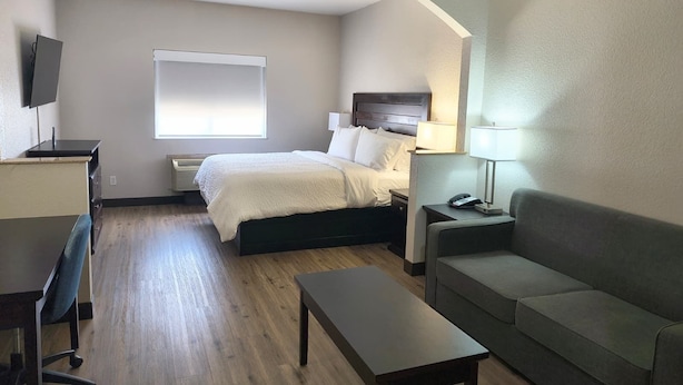 A hotel room with a bed, a desk, a chair, a sofa, and a TV.