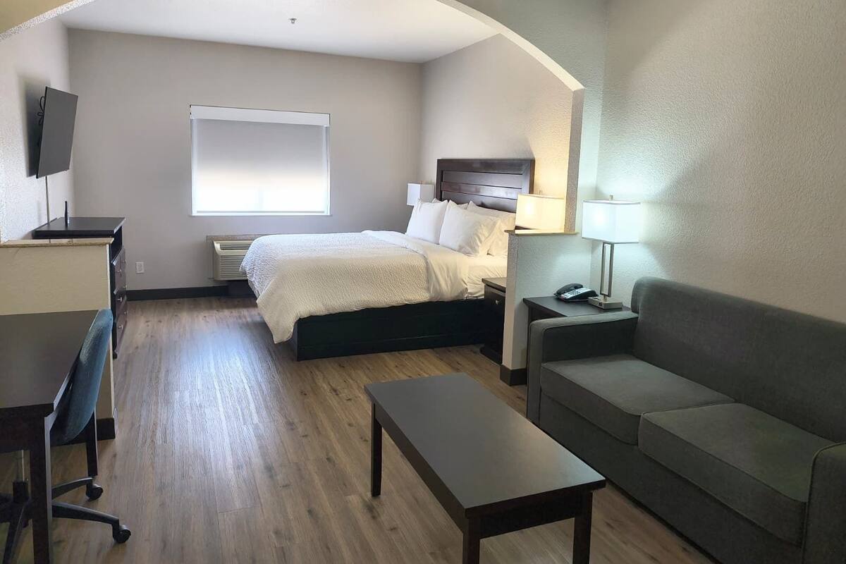 Een hotelkamer met een bed, een bureau, een stoel, een bank en een televisie.