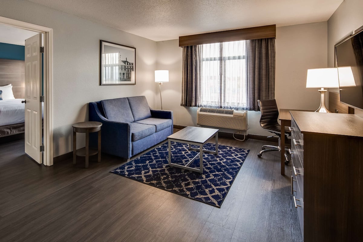 Suite, 1 King Bed, Non Smoking, Jetted Tub (with Sofabed) | 1 bedroom, premium bedding, pillowtop beds, in-room safe