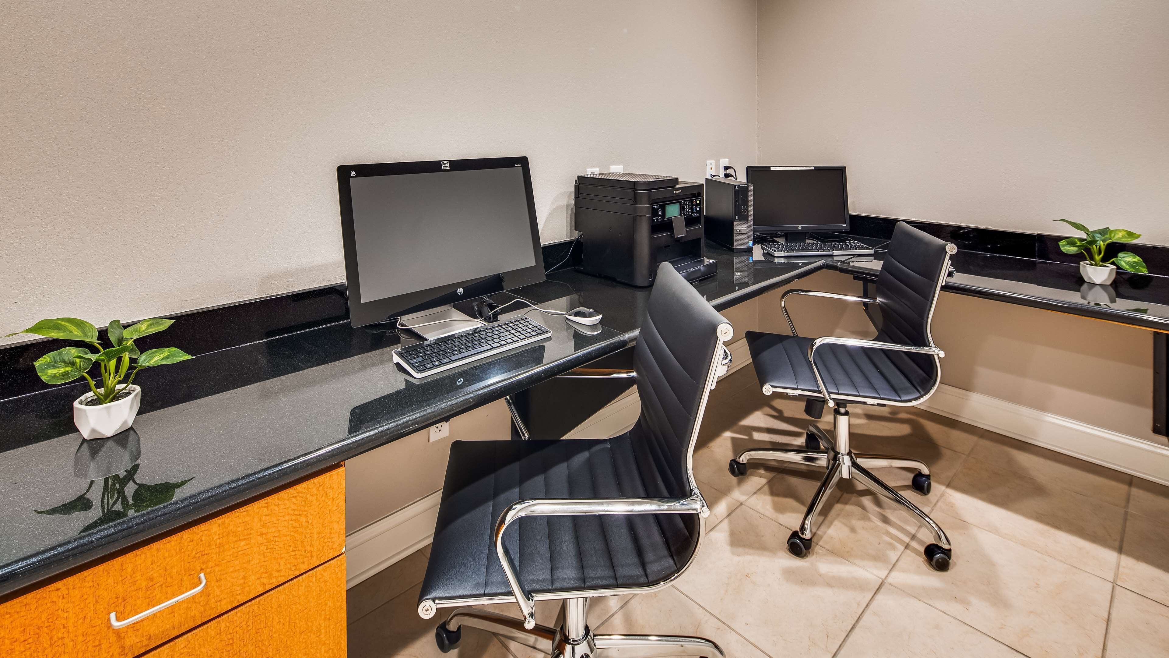A modern office space with desks, chairs, computers, and a potted plant.