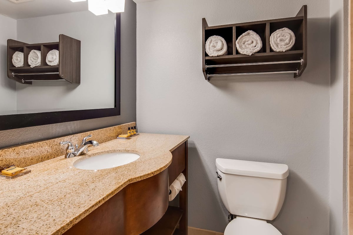 combined shower/bathtub, designer toiletries, hair dryer, towels