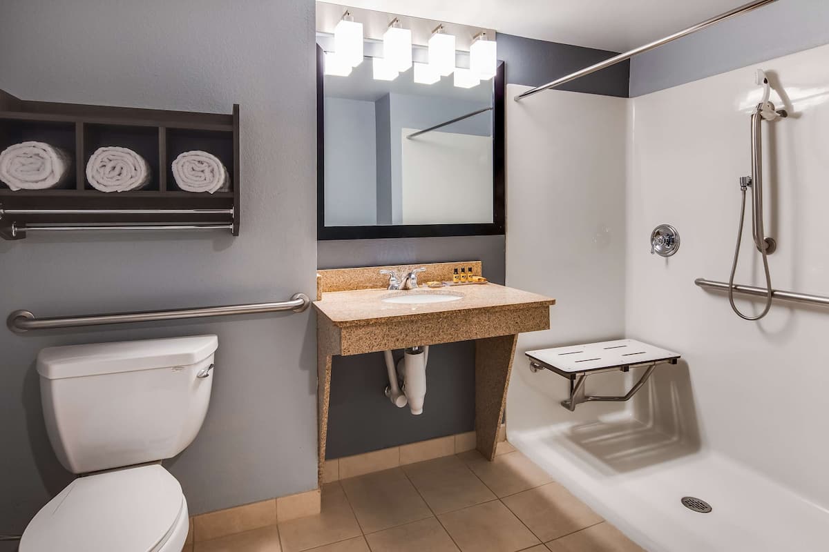 combined shower/bathtub, designer toiletries, hair dryer, towels