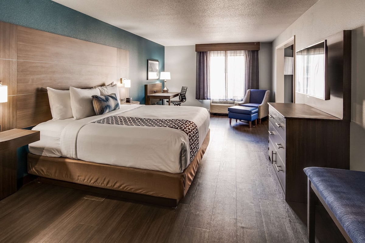 standard room, 1 king bed, non smoking, refrigerator & microwave (with sofabed) | premium bedding, pillow-top beds, in-room safe, desk