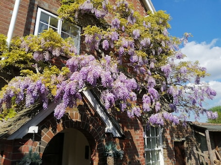 House, Accessible, Ensuite (Farmhouse) | Exterior