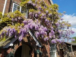 Ev, Engellilere Uygun, Banyolu/Duşlu (Farmhouse) | Dış mekân