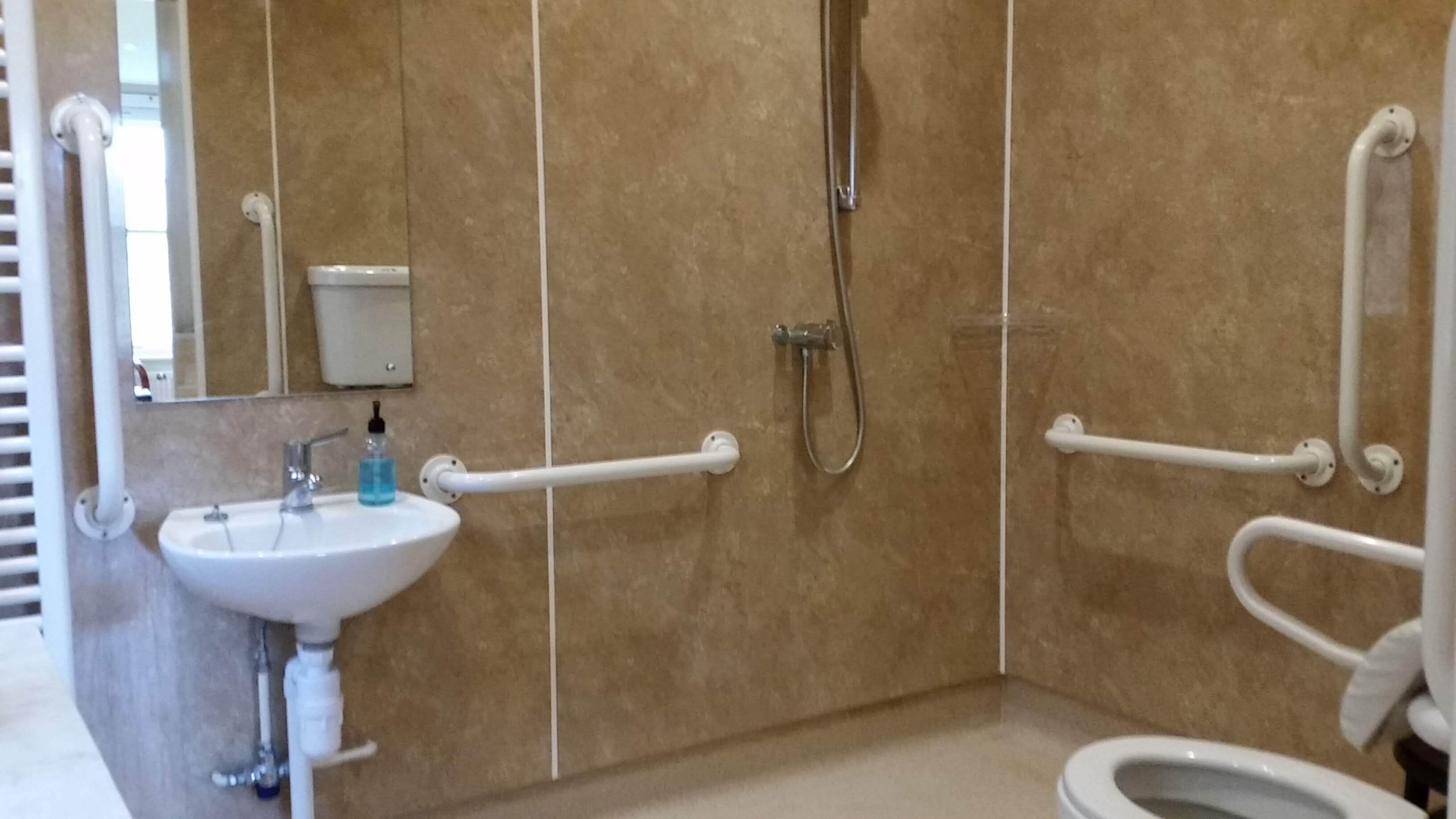 A bathroom with a white sink, a handheld showerhead, and a toilet.