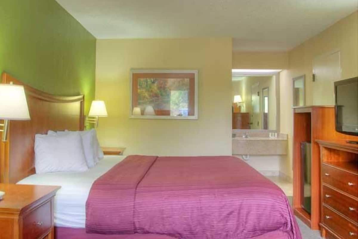 Standard Room, 1 King Bed, Non Smoking | In-room safe, desk, blackout drapes, iron/ironing board