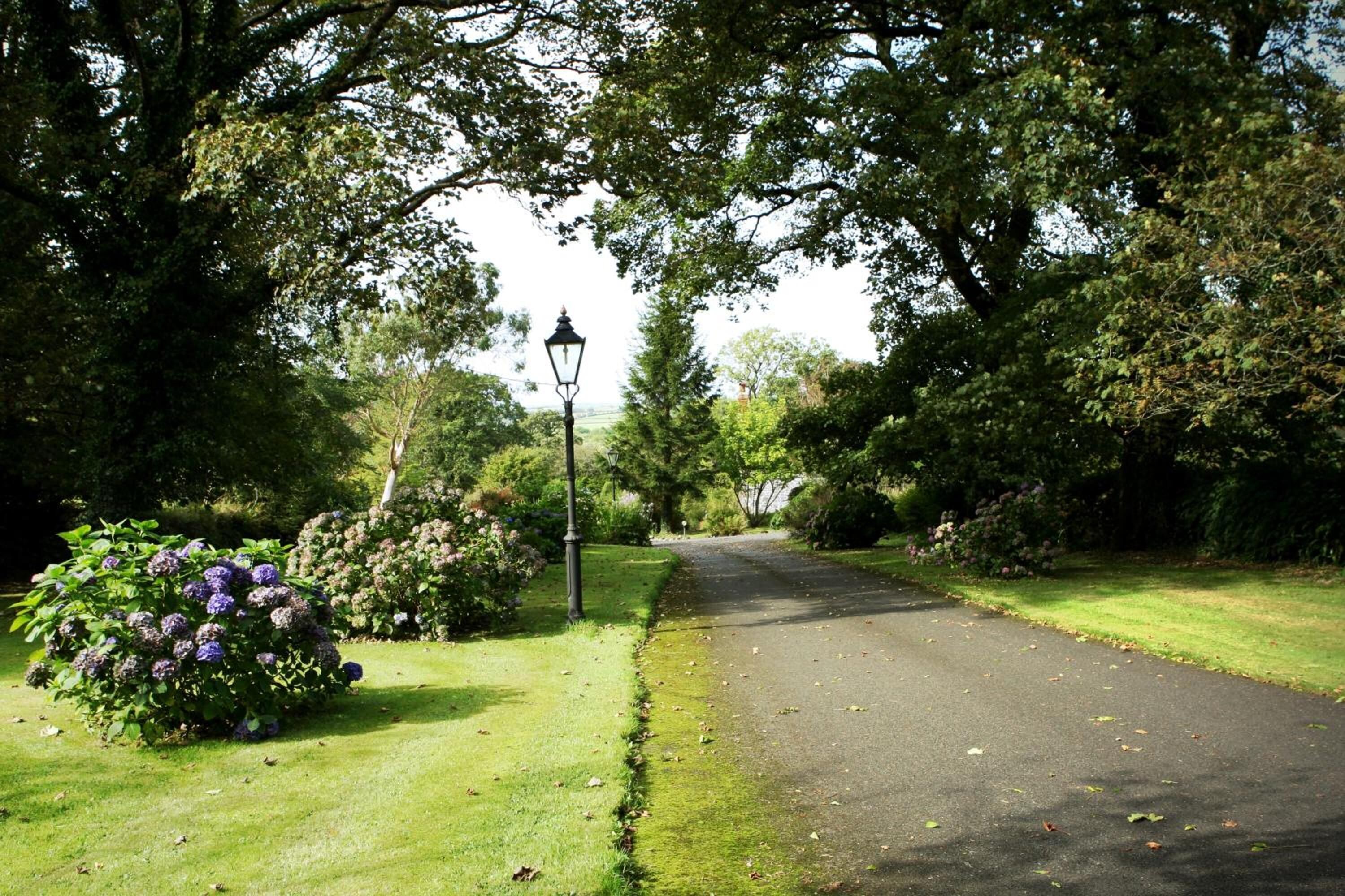 A paved pathway flanked by lush greenery and a street lamp.
