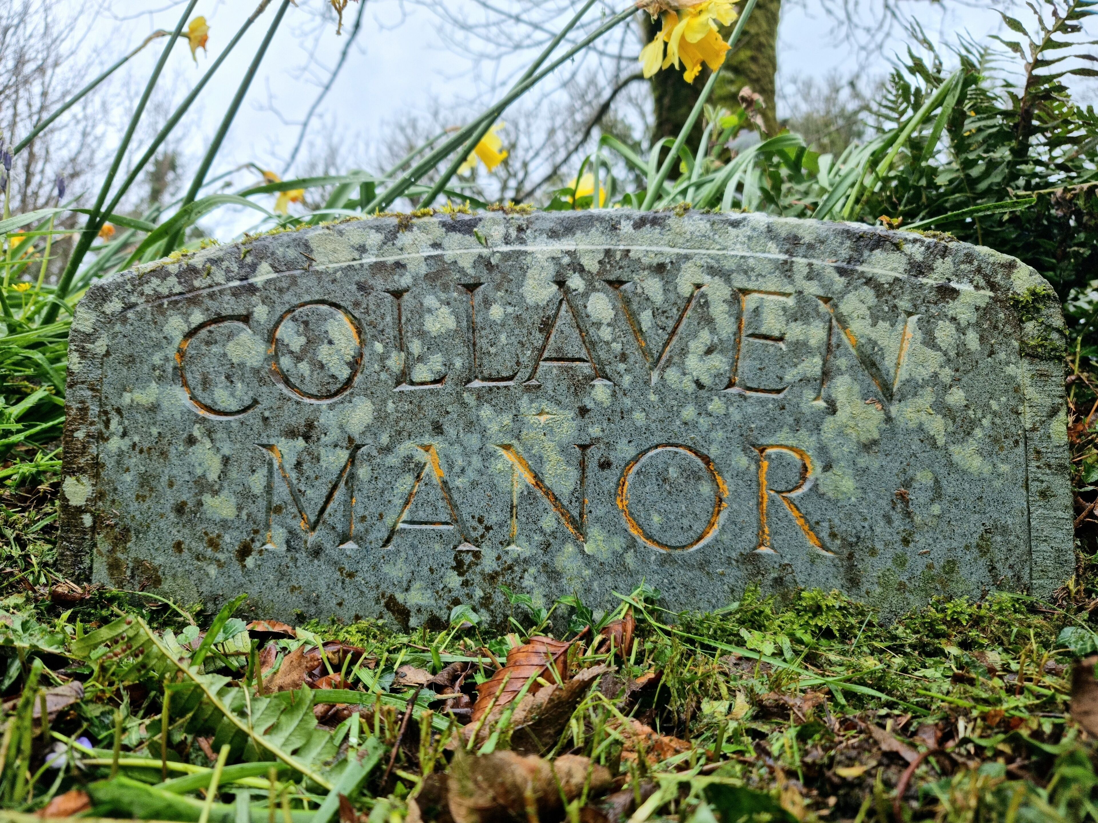 A stone headstone with the inscription "Collaven Manor" surrounded by greenery.