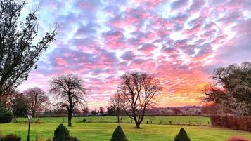 Habitación con 1 cama matrimonial o 2 individuales (Feature) | Vista al jardín
