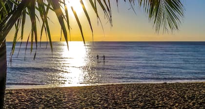 Roydon Beachfront Apartments