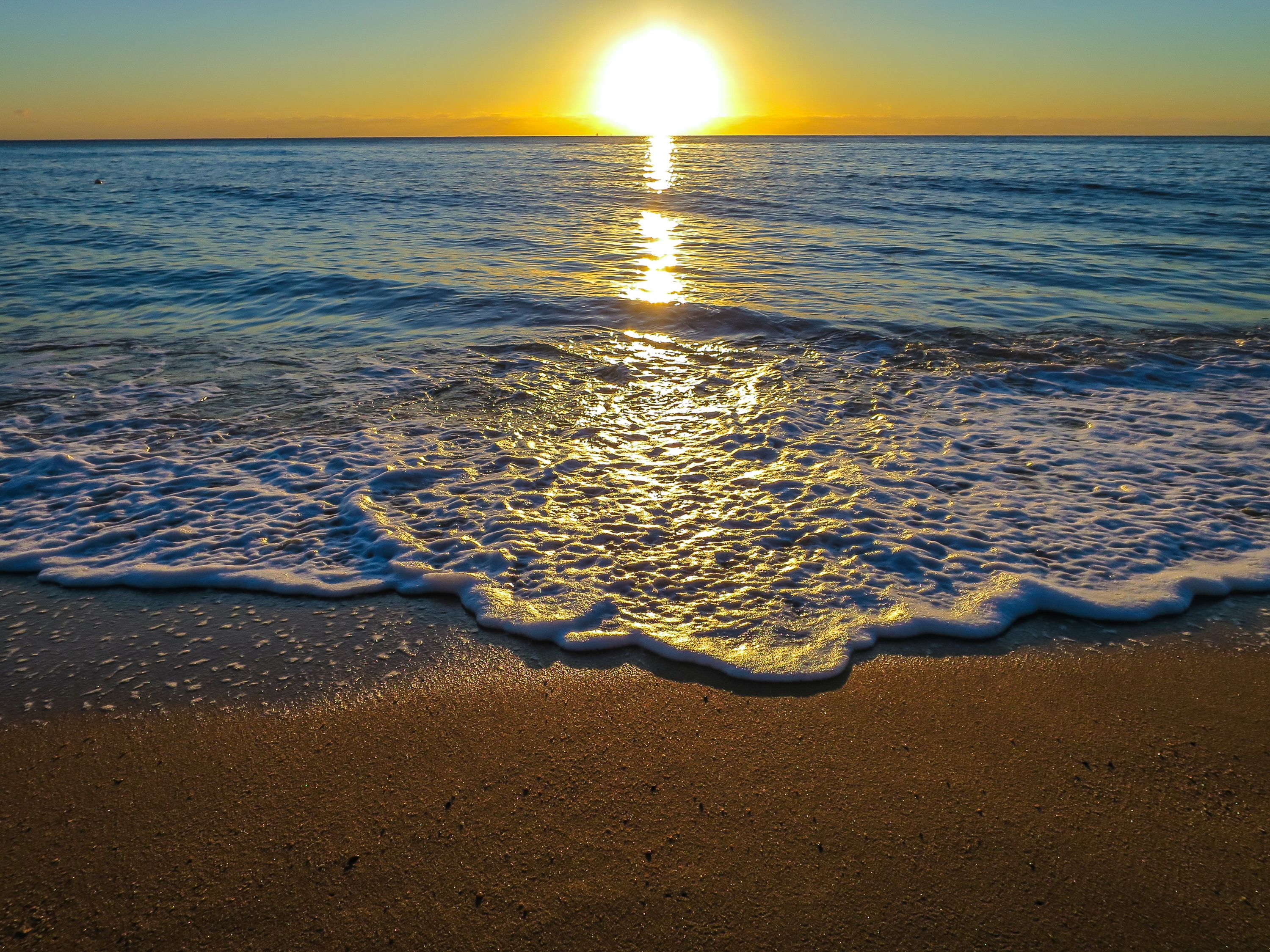 Roydon Beachfront Apartments — image 21