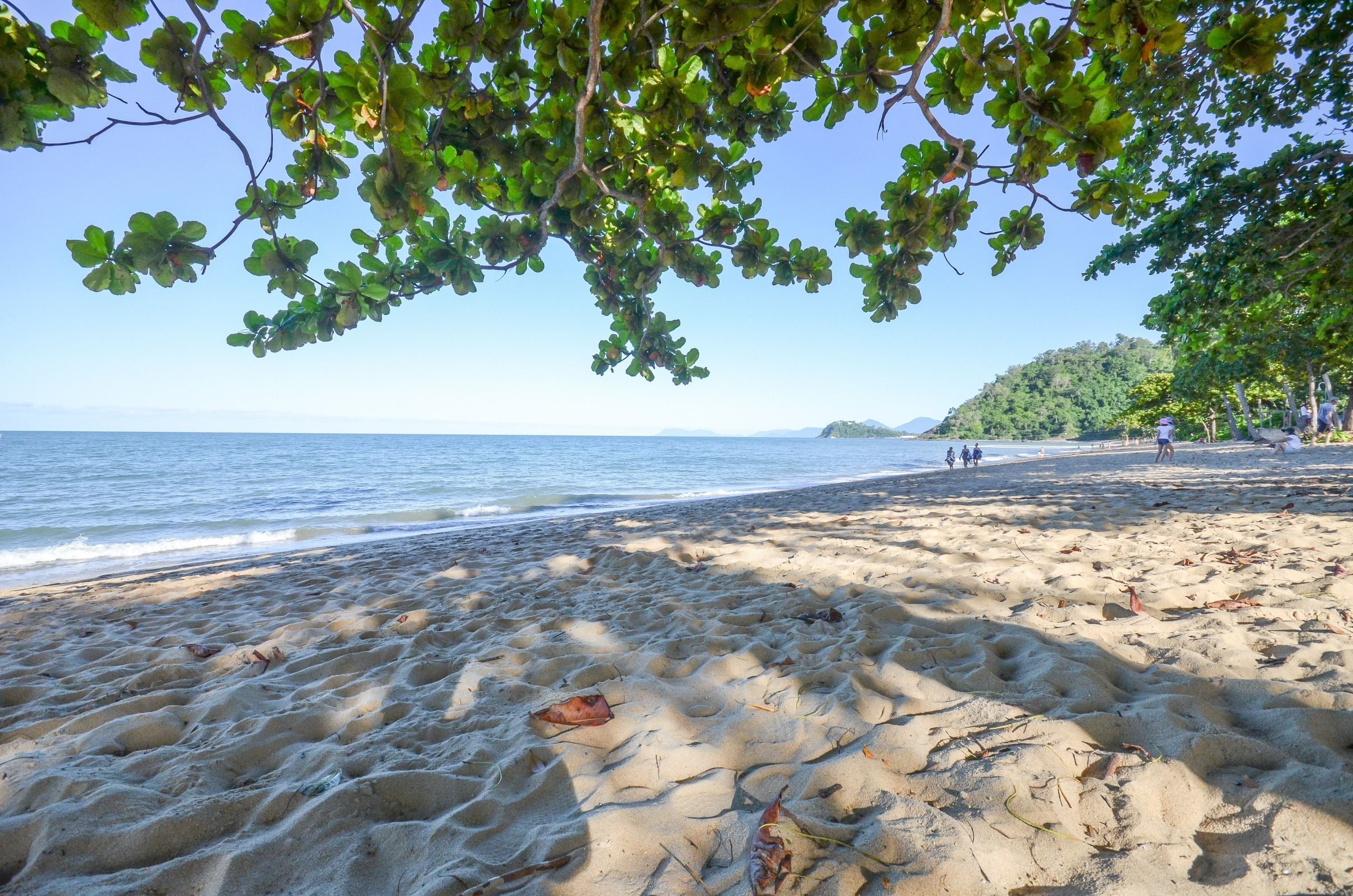 Roydon Beachfront Apartments — image 25