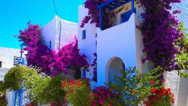 Un edificio blanco adornado con vibrantes flores de buganvilla moradas y flores rojas en primer plano.