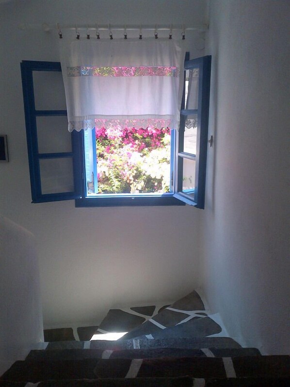 A room with a window featuring blue shutters, a white curtain, and a view of pink flowers.