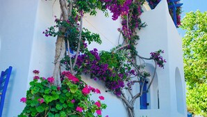 Un edificio blanco con detalles azules, plantas en macetas y una mesa con sillas.
