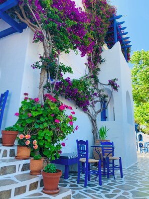 Front of property - Pelagos Studios (Paros)