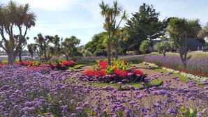 A garden with various flower beds, palm trees, and a building in the background. - Grosvenor House (Torquay)