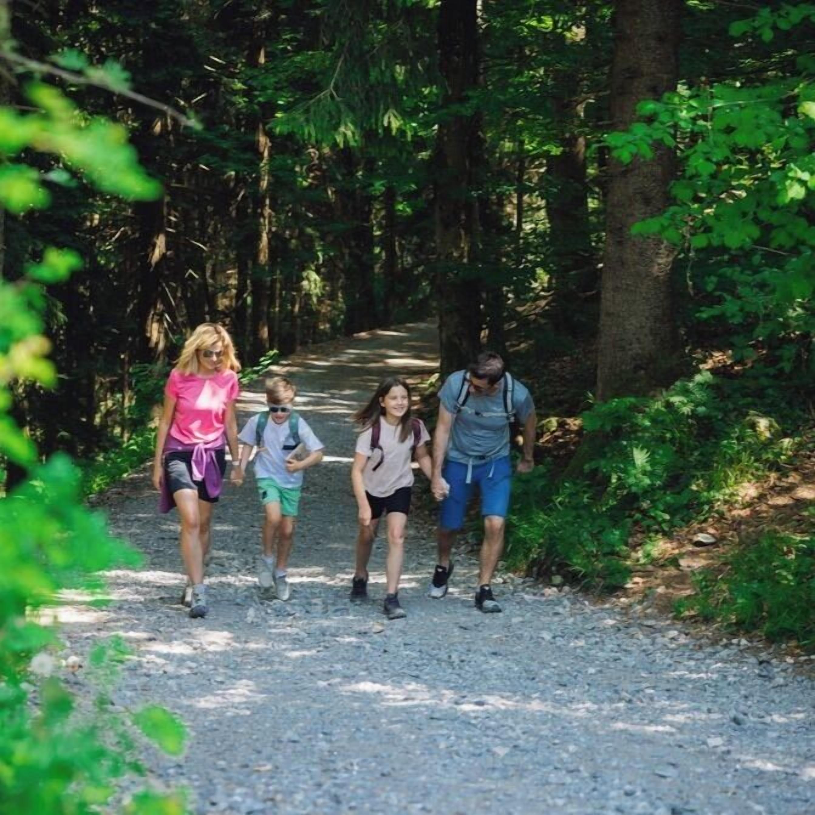 Un grupo de personas caminando por un sendero de grava bordeado de árboles.
