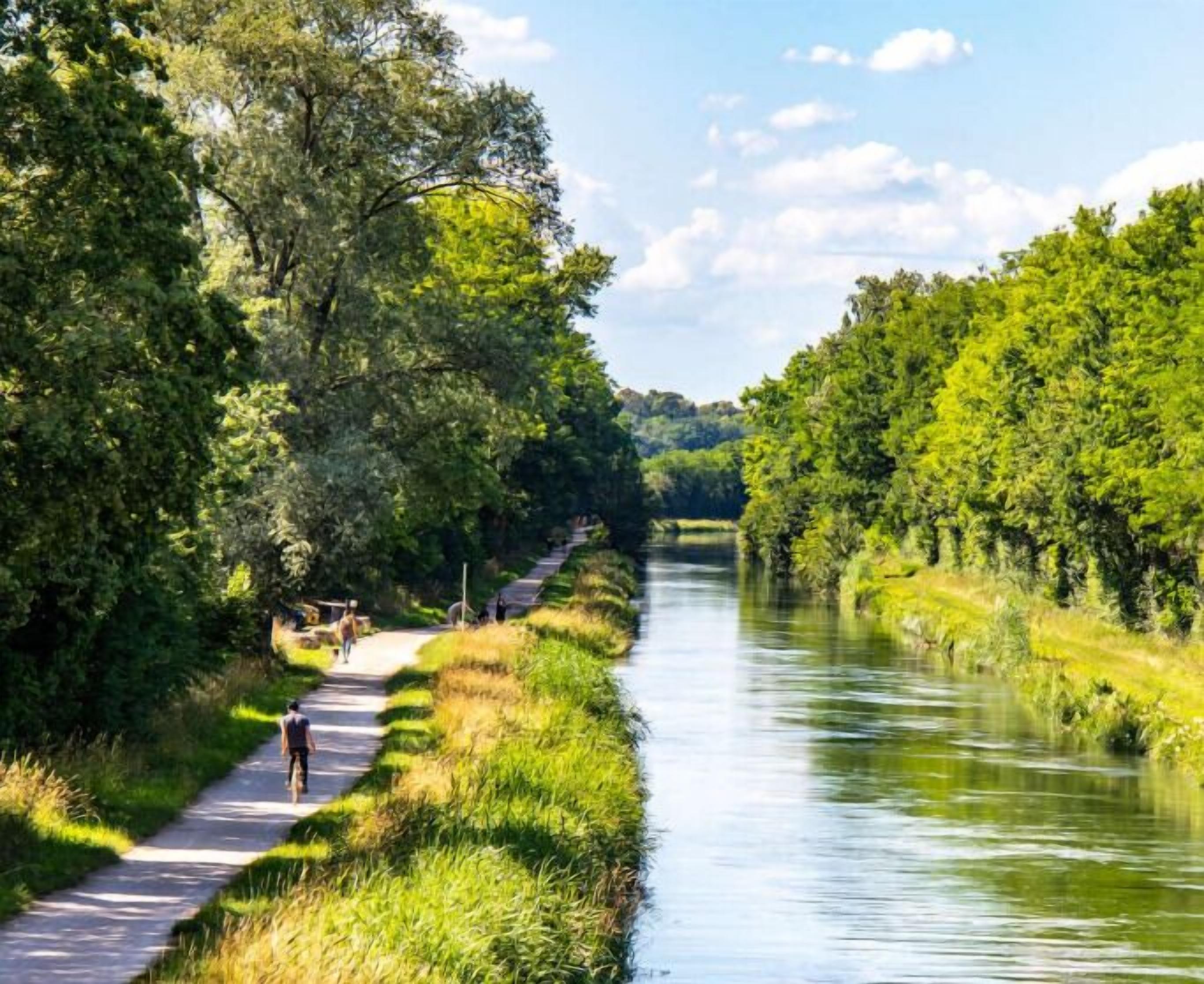 A river path with a paved walkway, surrounded by dense greenery and trees.
