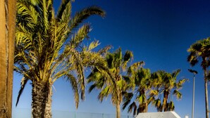 A poolside area with two martini glasses on a wooden surface, palm trees, and a clear blue sky. - Hotel Rural Finca de la Florida (San Bartolome)
