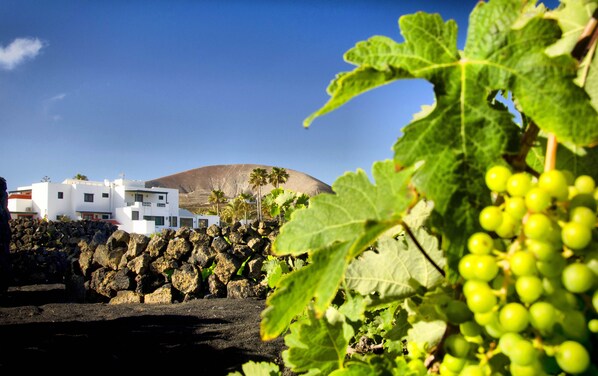 A coastal building with a rocky foreground, a clear blue sky, and a mountain in the background. - Hotel Rural Finca de la Florida (San Bartolome)