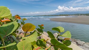 Une plage avec un ciel dégagé, une eau calme et un premier plan rocheux parsemé de végétation verdoyante.