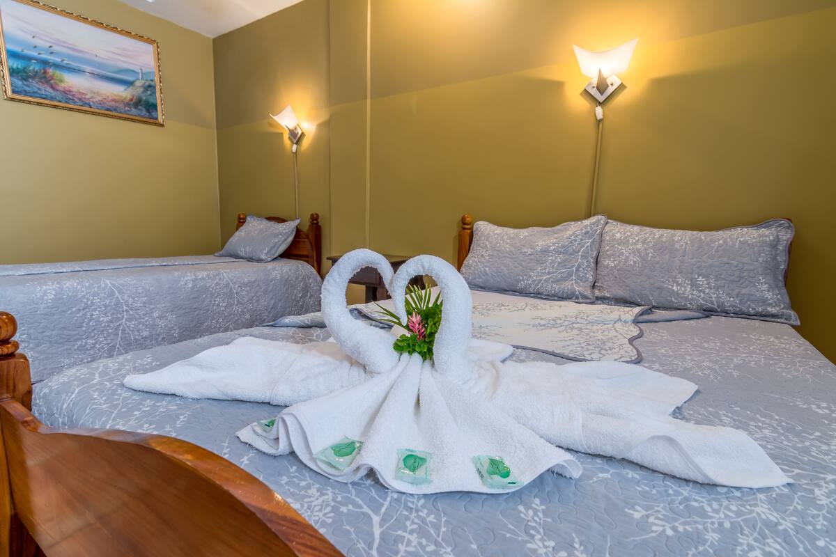 Une chambre d’hôtel avec deux lits, chacun recouvert d’une couvre-lit à motifs bleus et agrémenté de coussins blancs. Deux lampes murales sont fixées de part et d’autre des lits.