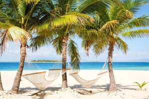A beach with two hammocks tied between palm trees, a clear blue sea, and a sandy shore.