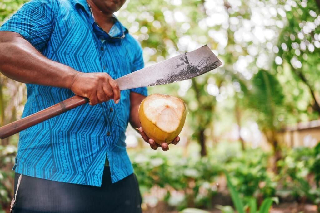 A person holding a coconut and a machete.