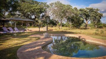 Una piscina al aire libre, sombrillas, sillones reclinables de piscina