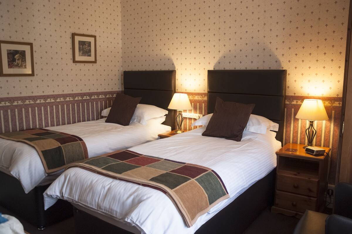 A hotel room with two single beds, each with a nightstand and lamp. The room has a patterned wallpaper and a decorative border along the lower wall.