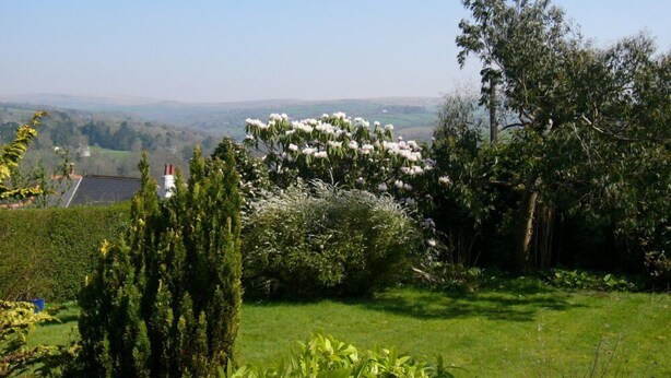 A lush garden with a variety of plants and trees, a clear blue sky, and a distant view of a landscape with buildings. - Overcombe House (Yelverton)