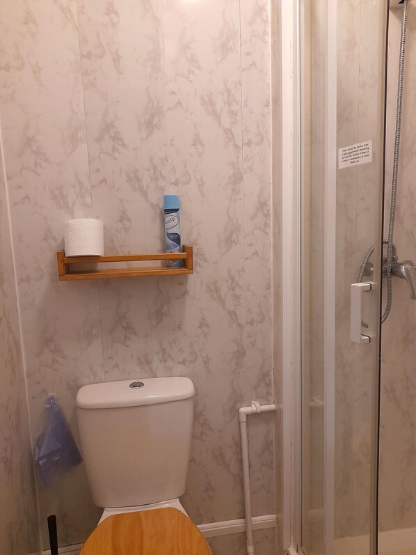 A bathroom with a toilet, a shower, and a shelf with toilet paper and a bottle. - Phoenix Guest House (Blackpool)
