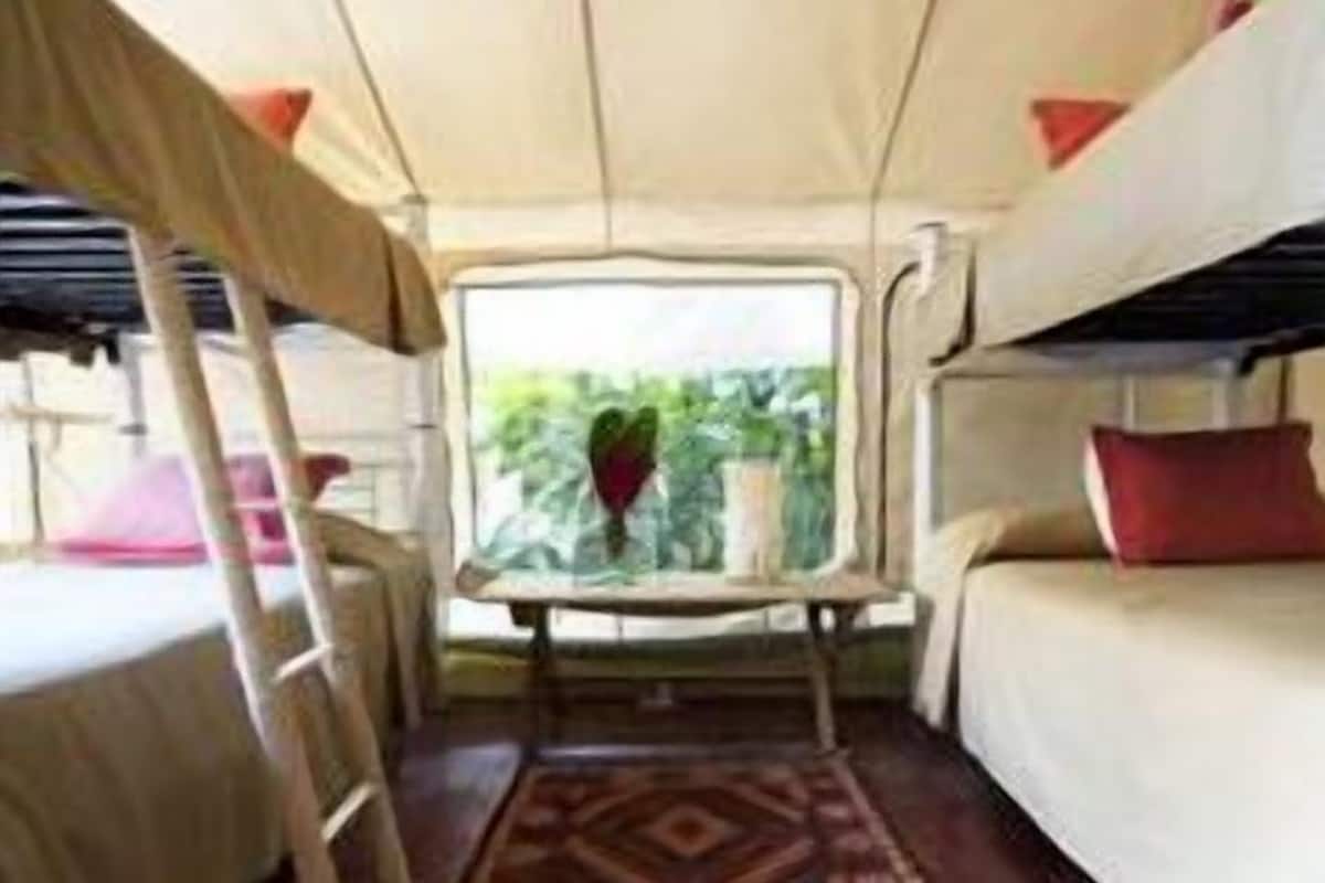 Suite (Safari)
