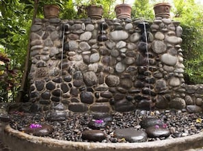 Property grounds - Okavango (Jalcomulco)