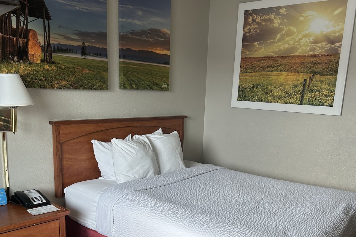 Standard Room, 1 Queen Bed | Desk, laptop workspace, blackout drapes, iron/ironing board