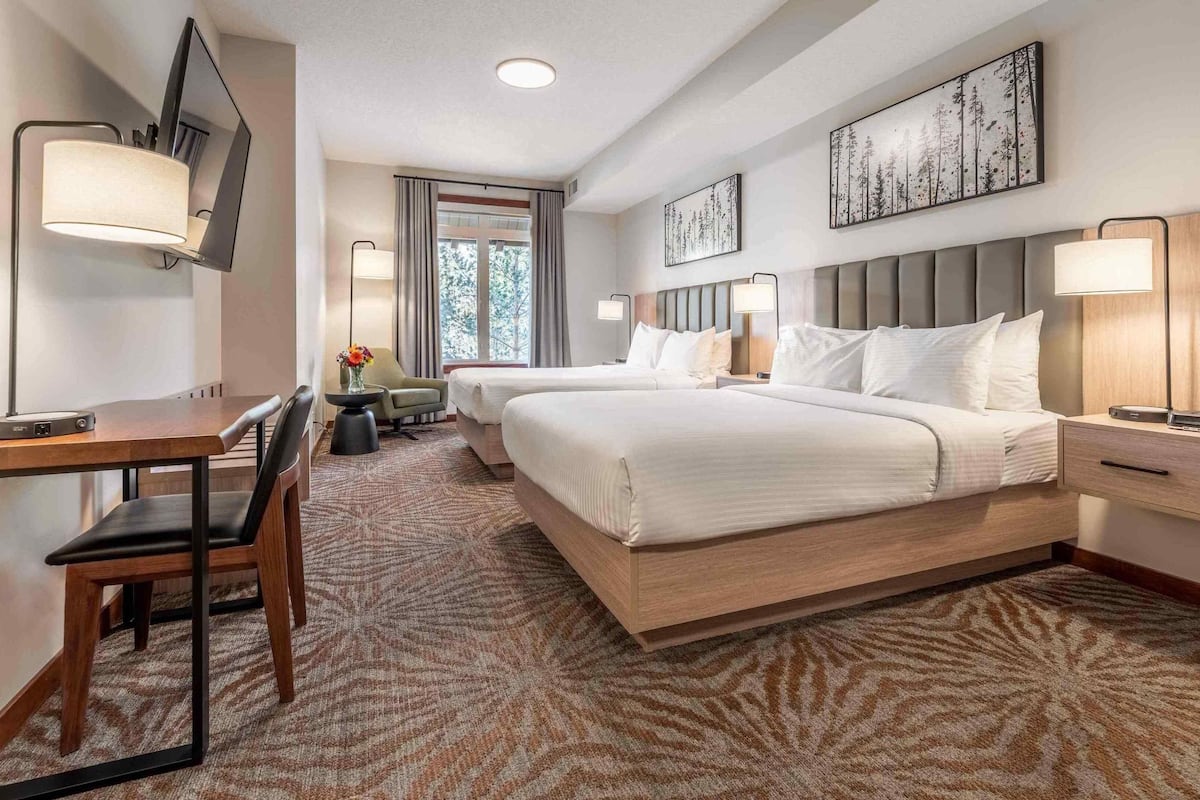 standard room, 2 queen beds | in-room safe, blackout curtains, iron/ironing board, free wifi