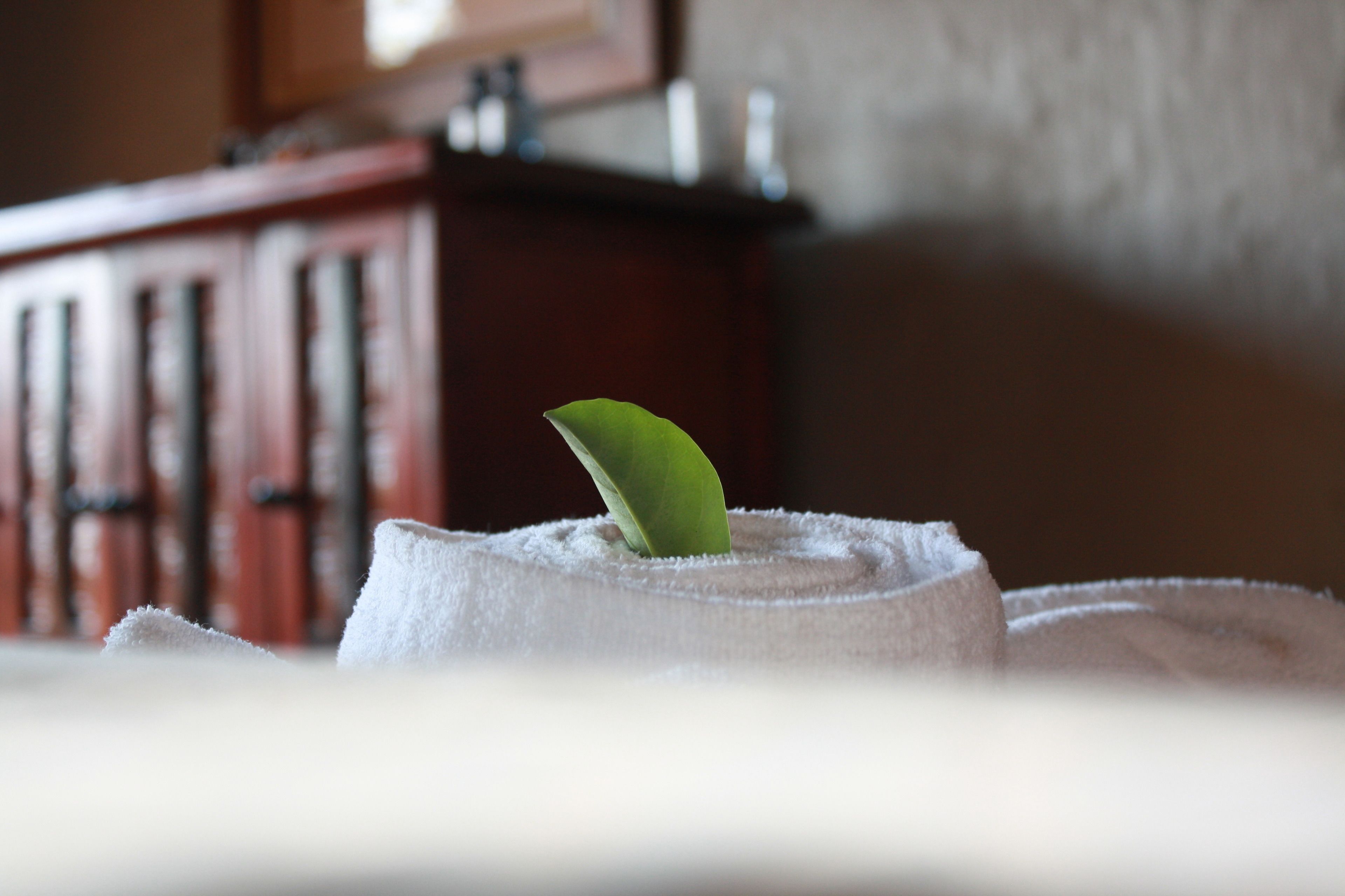 A towel with a green leaf on it, placed on a surface with a blurred background.
