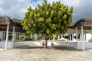 Centro de negocios