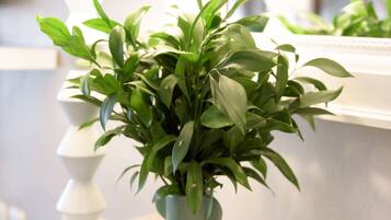 Un baño con un lavamanos blanco, un florero verde con una planta y un secador de pelo en la encimera.