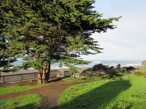 A coastal pathway with a wooden fence, a large evergreen tree, and a view of the ocean. - Gualala Country Inn (Gualala)