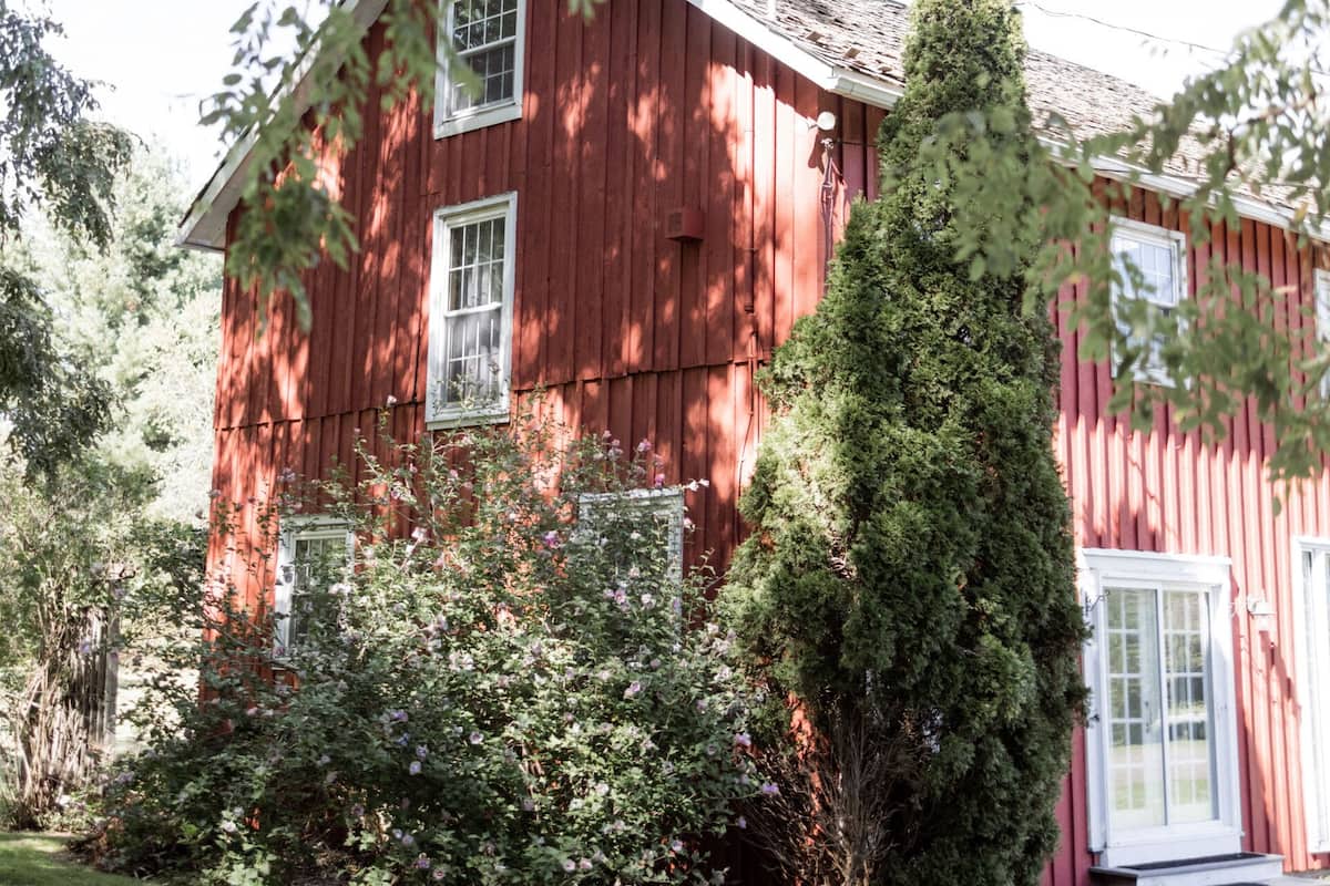 A red wooden house with a well-maintained lawn and a tall evergreen tree in front.